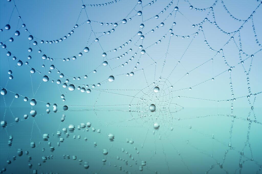 A photo of a spiderweb against a pale blue-green background of fog. There are waterdroplets clinging to the strands of the spider web.