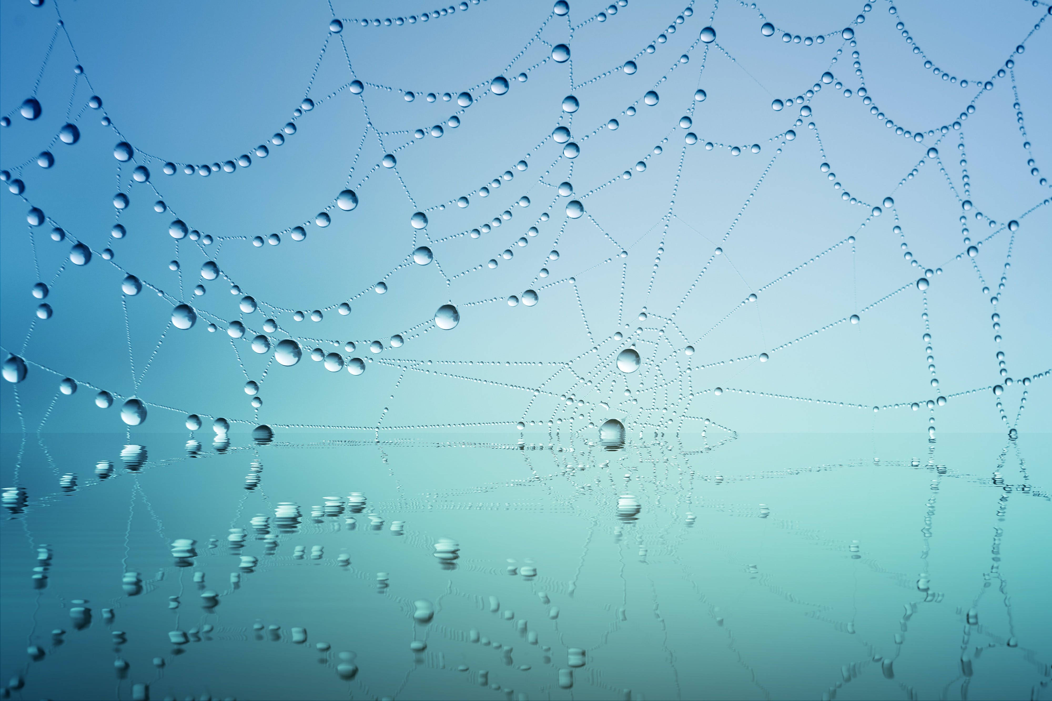 A photo of a spiderweb against a pale blue-green background of fog. There are waterdroplets clinging to the strands of the spider web.